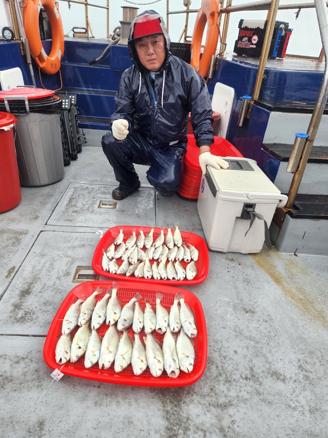 8월13일 뉴대성호 백조기조황