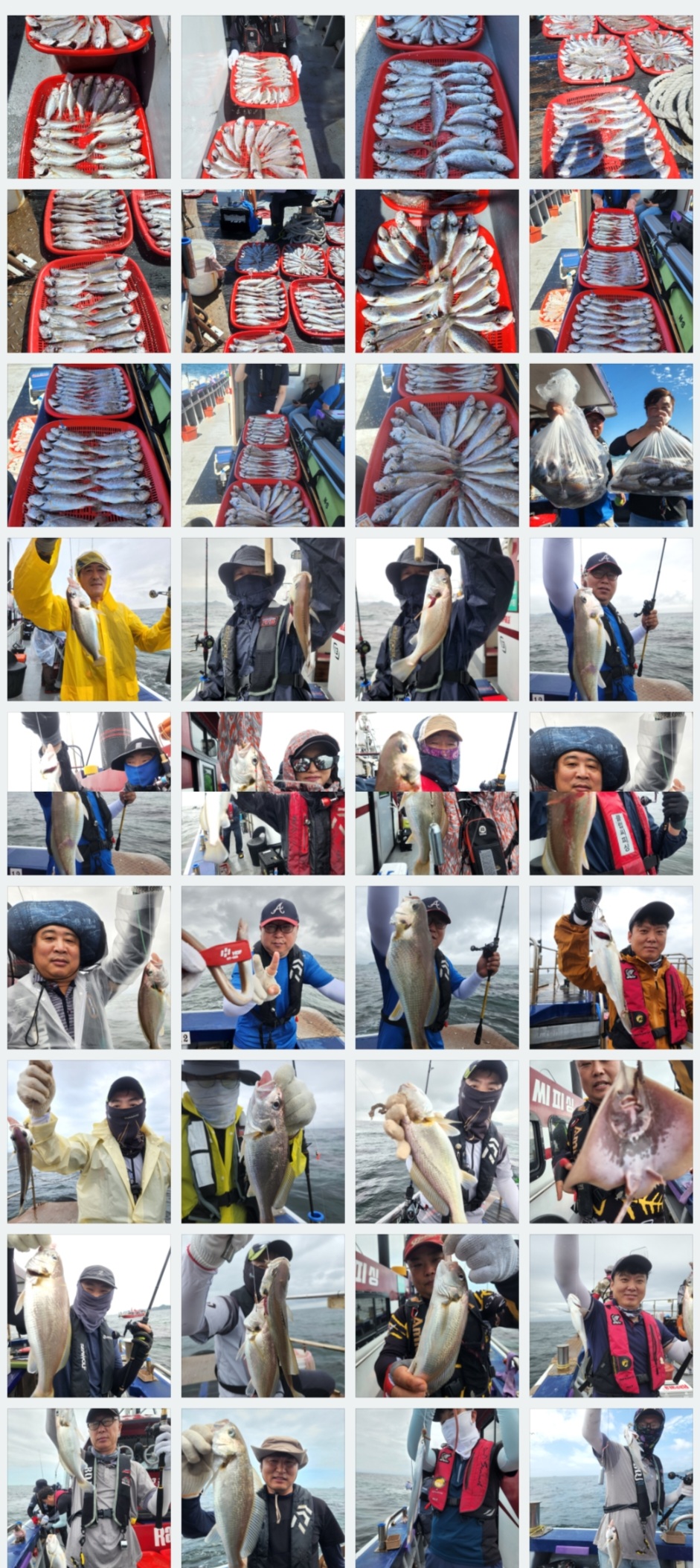 8월20일 뉴대성호 백조기조황