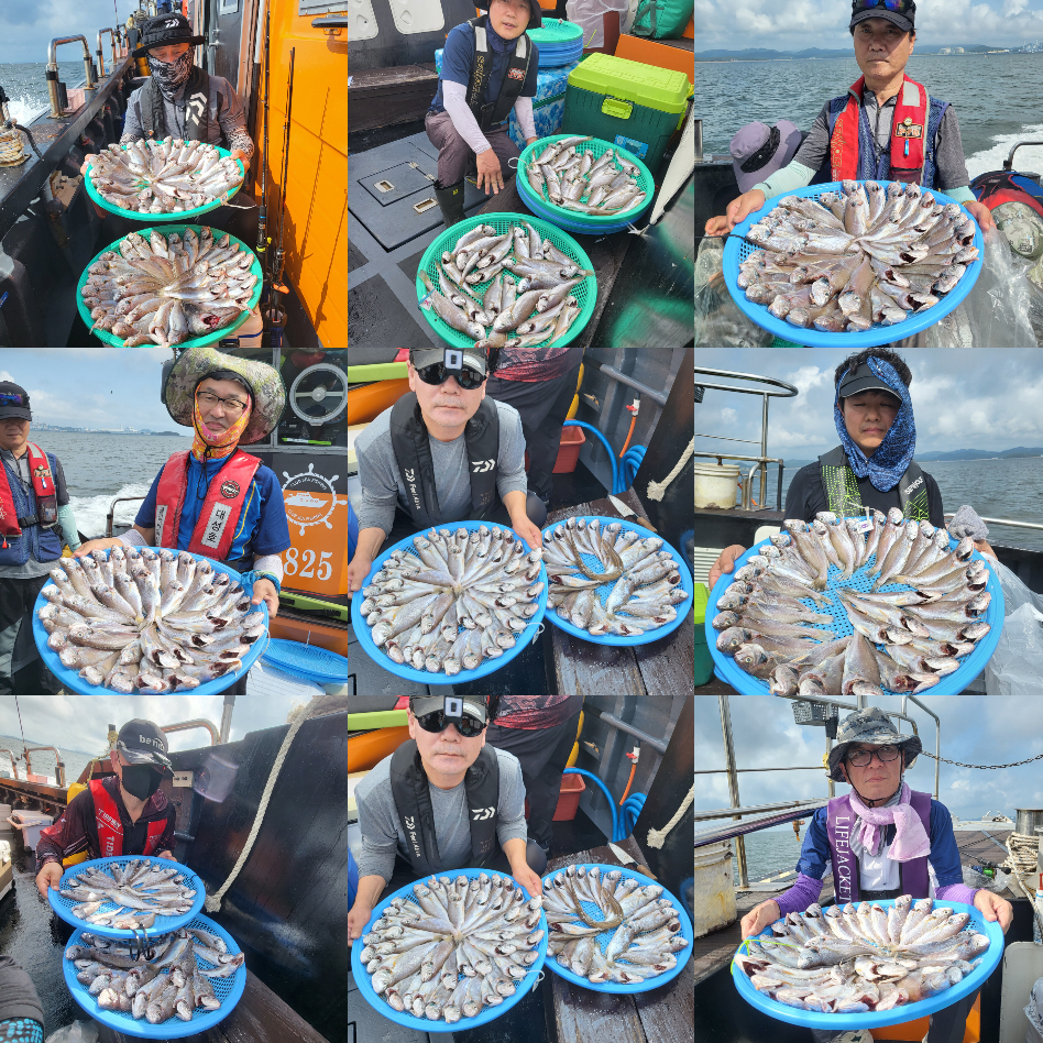 8월 5일 대성호 백조기조황입니다