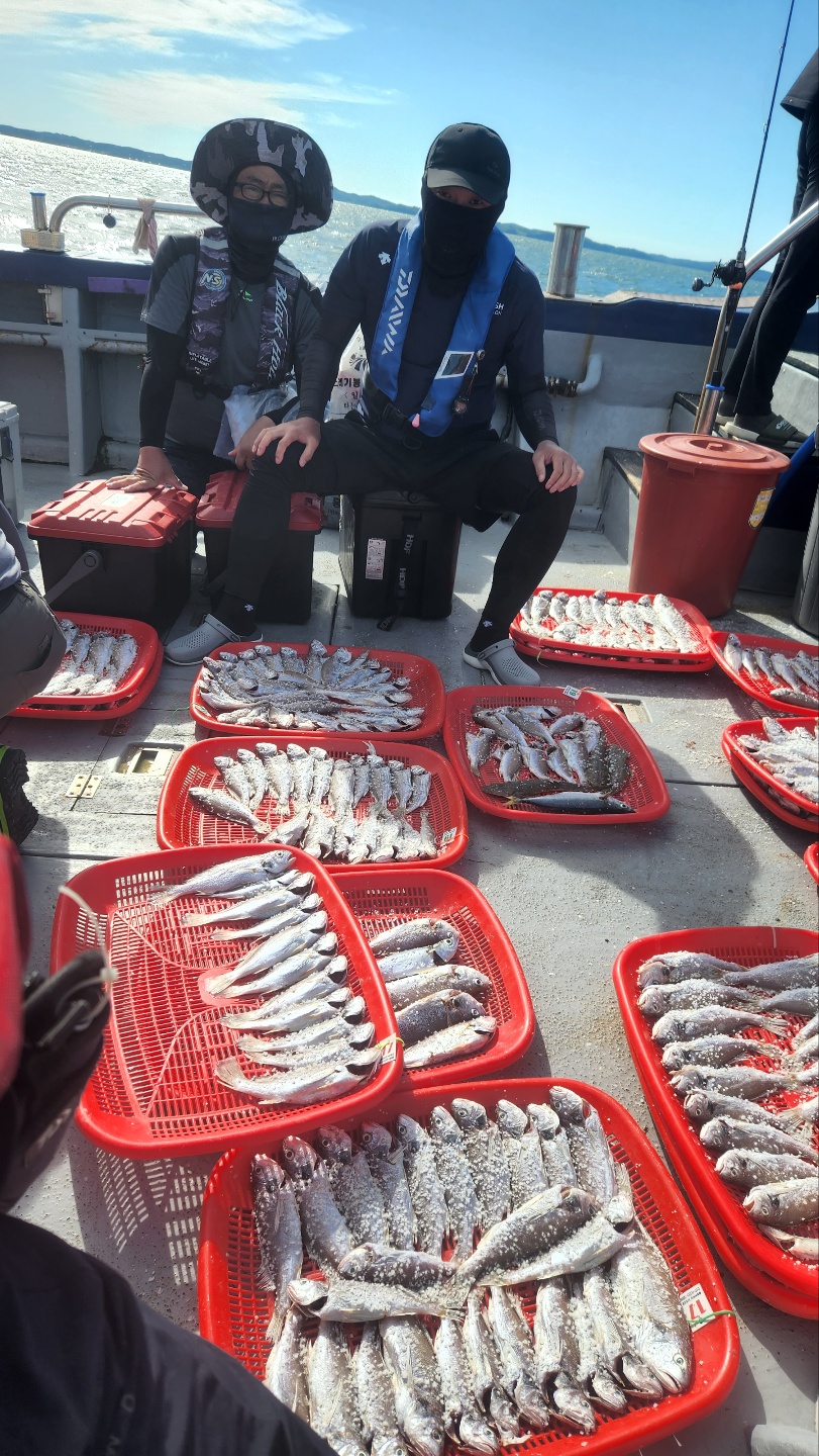 8월27일 뉴대성호 백조기조황