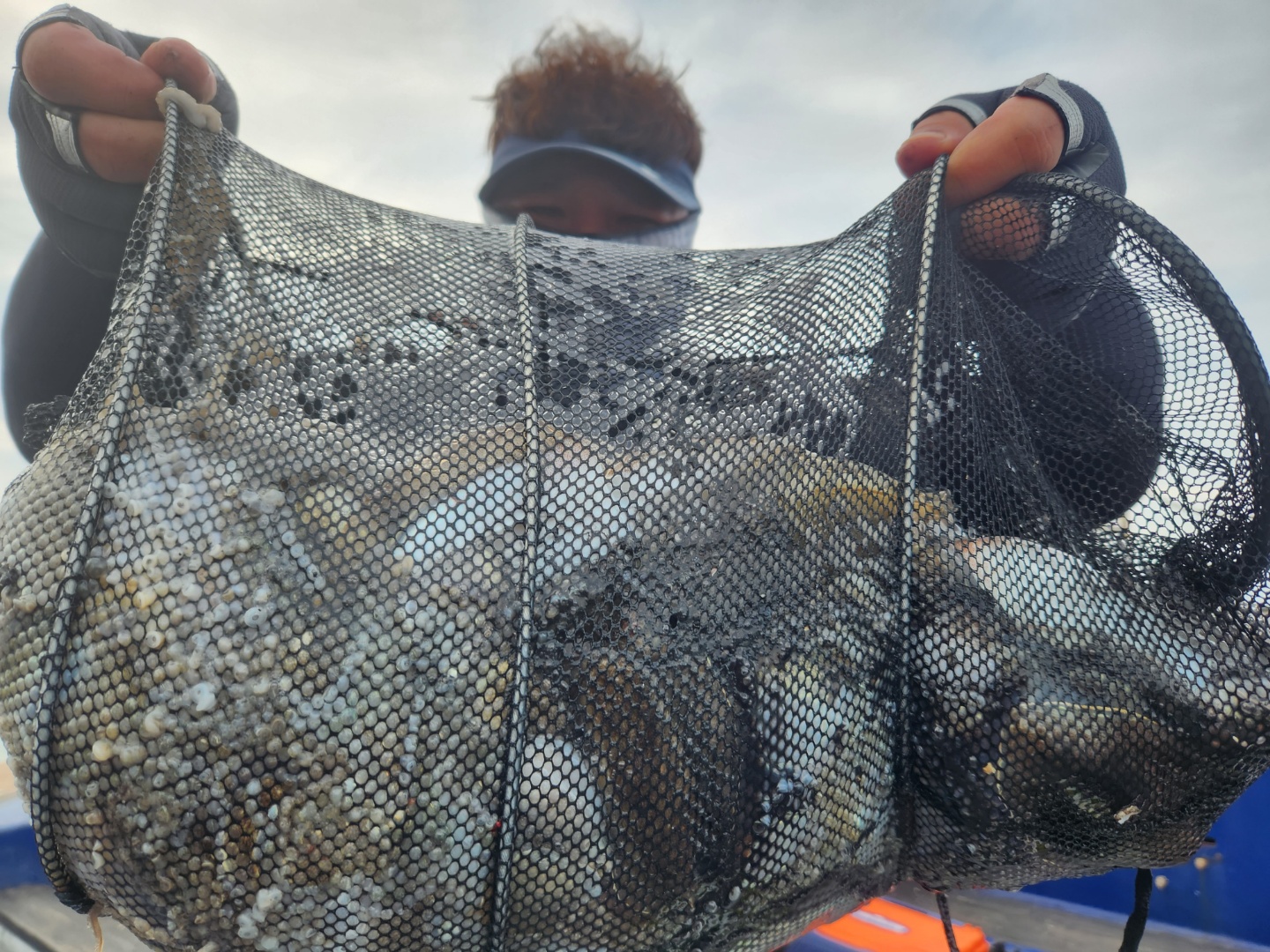 9월22일 뉴대성호 주꾸미조황