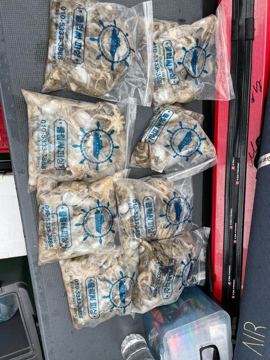 9월4일 뉴 궁리호 쭈꾸미 조황입니다