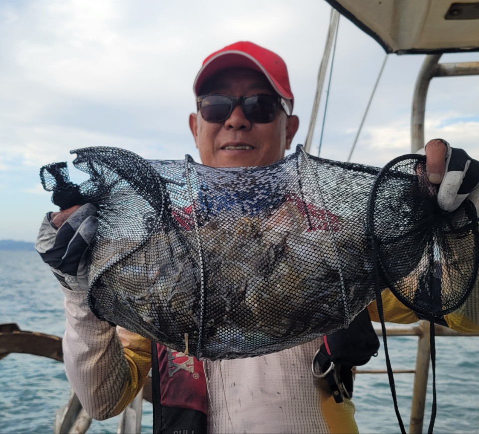 9월 20일 대성2호 쭈꾸미조황