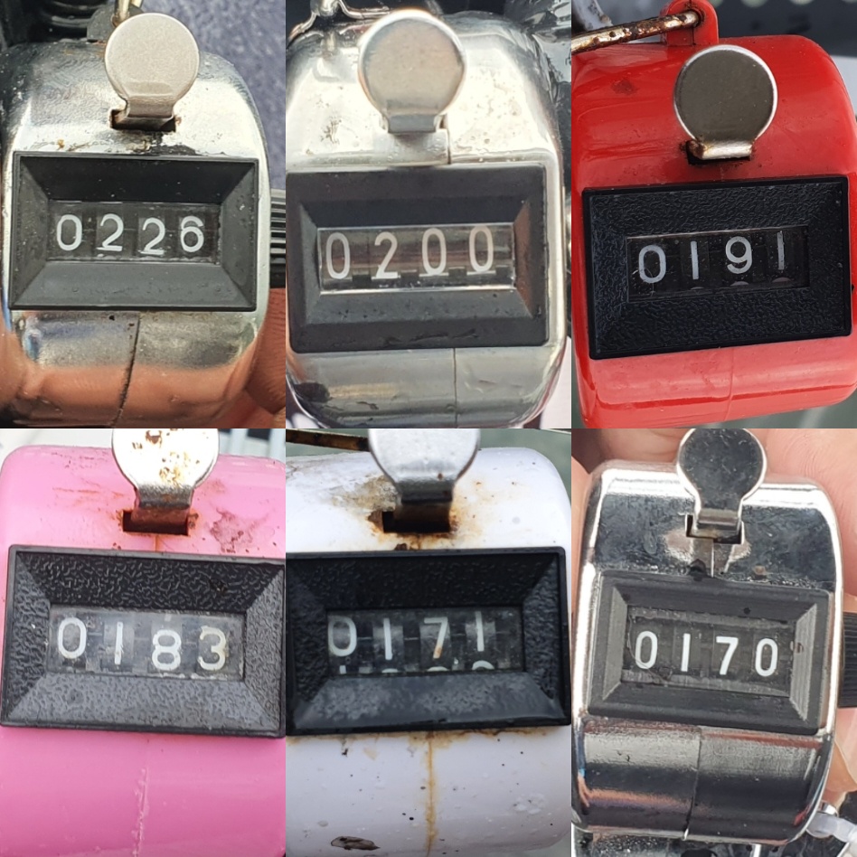 9월 11일 대성호 주꾸미 조황입니다