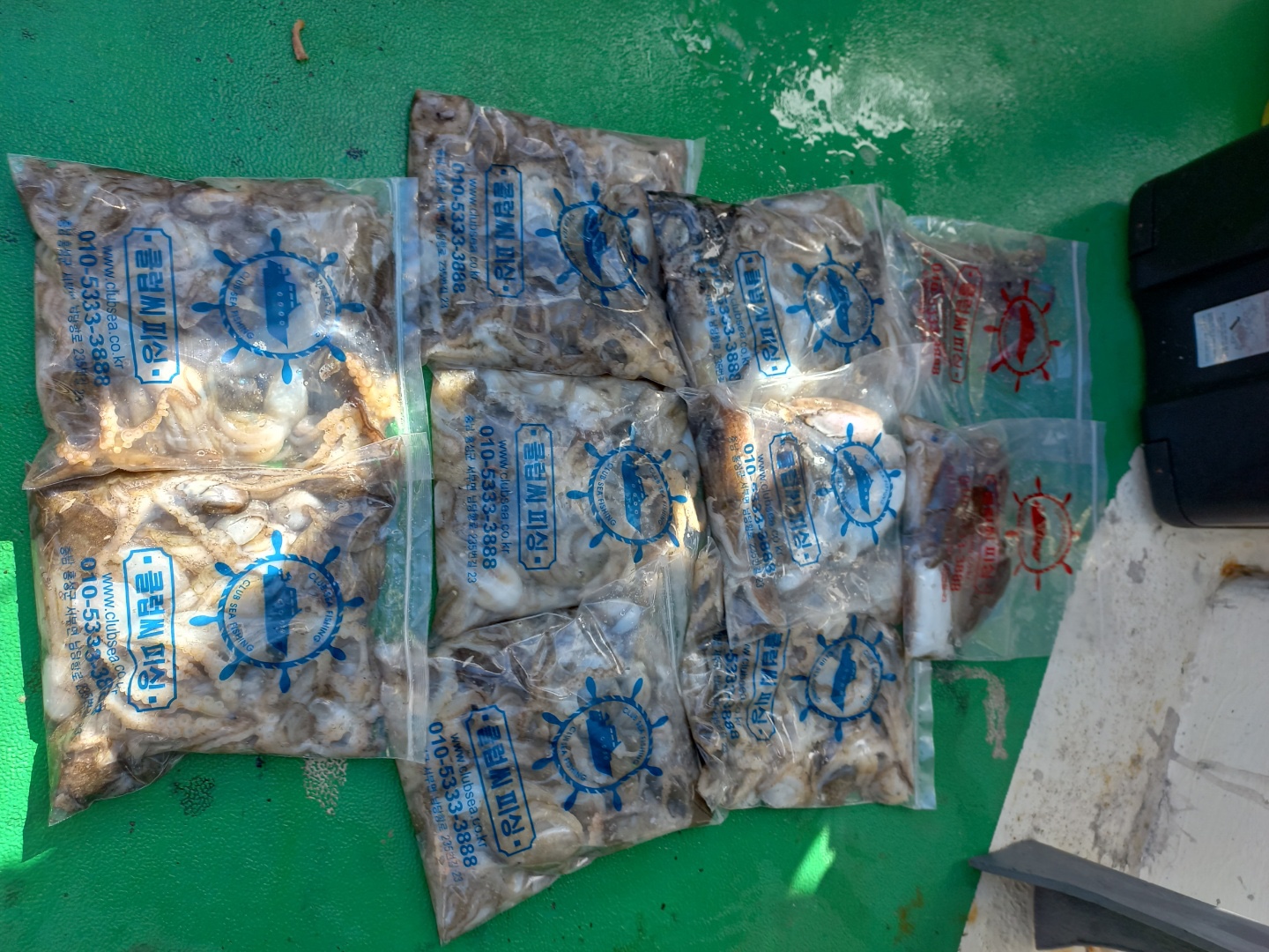 뉴궁리호2.3일 쭈꾸미 조황