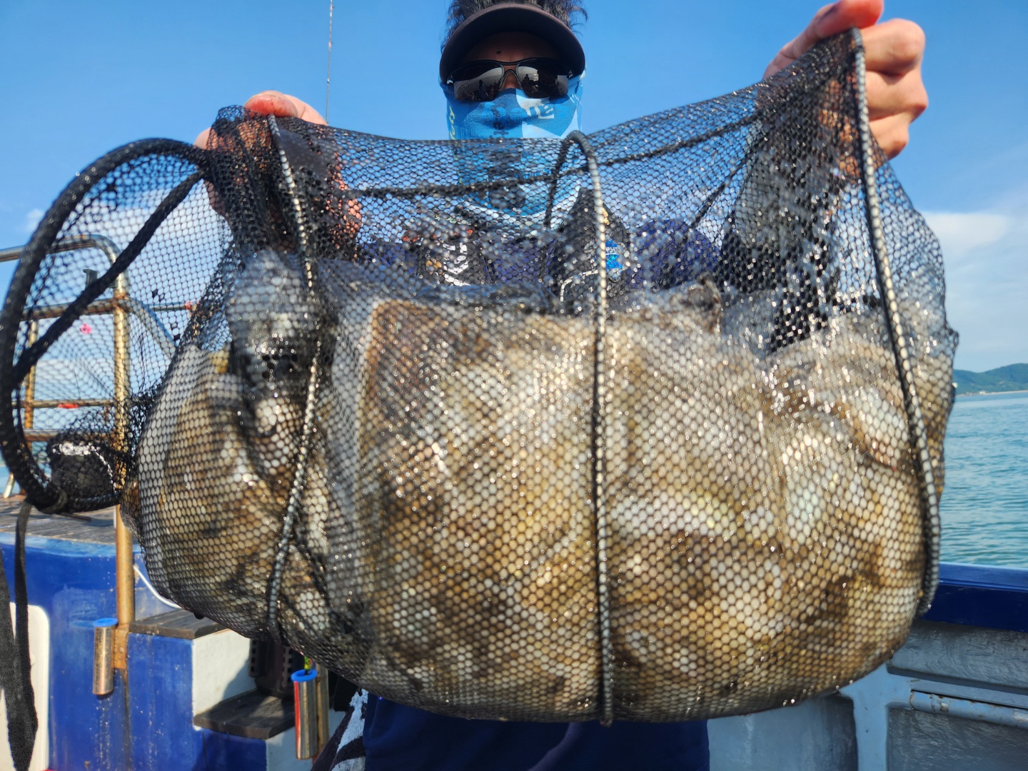 9월1일 뉴대성호 주꾸미조황