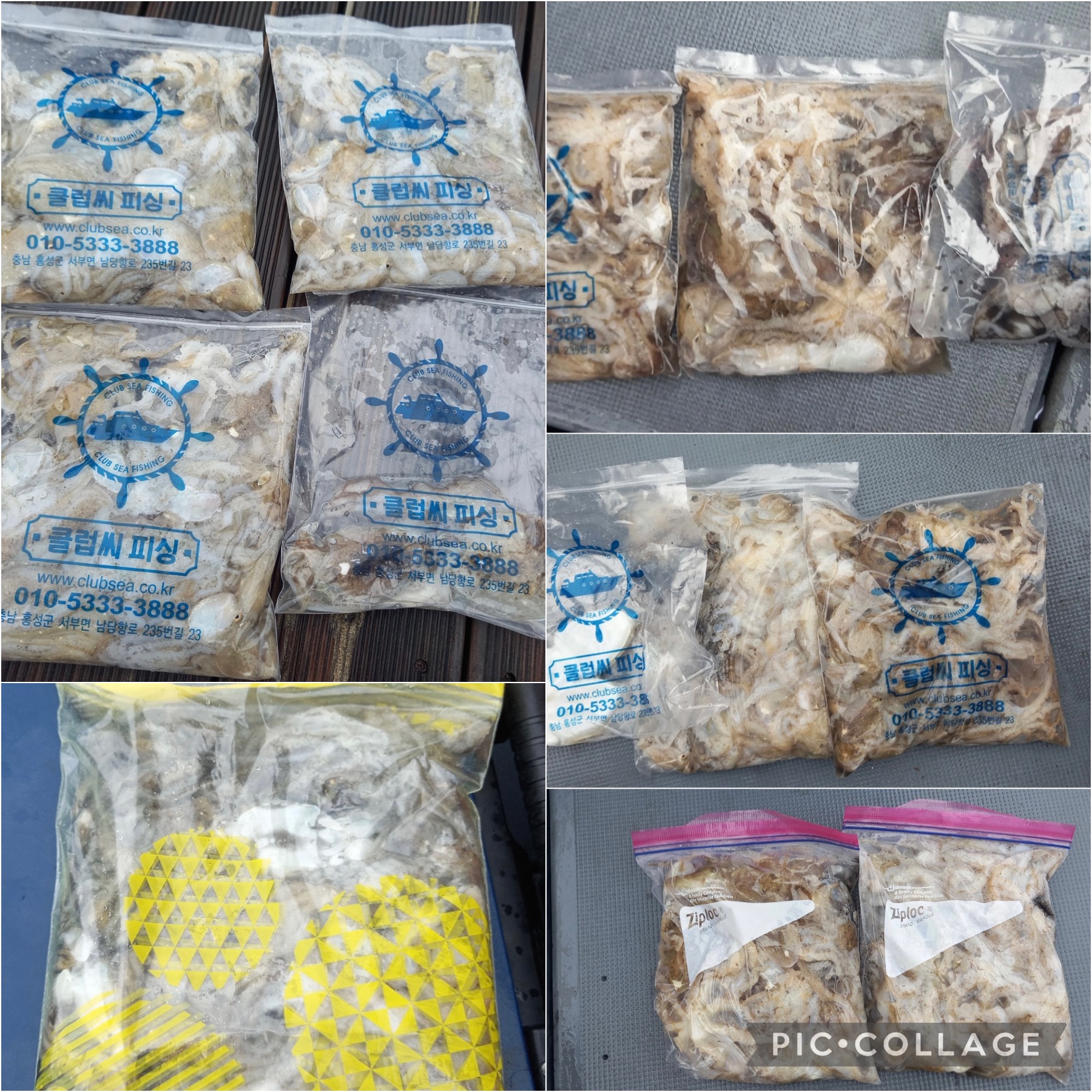 09월 05일 레드원호 주꾸미 조황