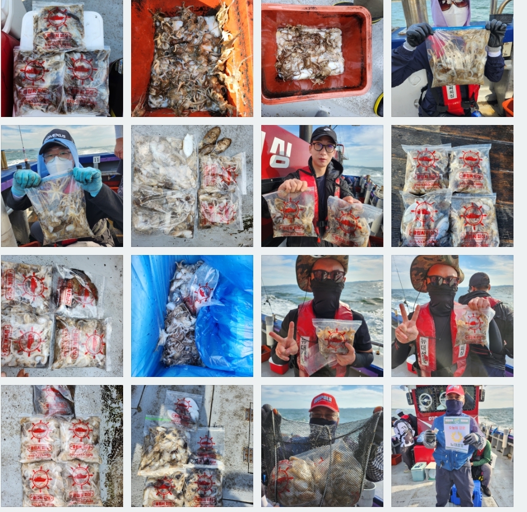 9월8일 뉴대성호 주꾸미조황