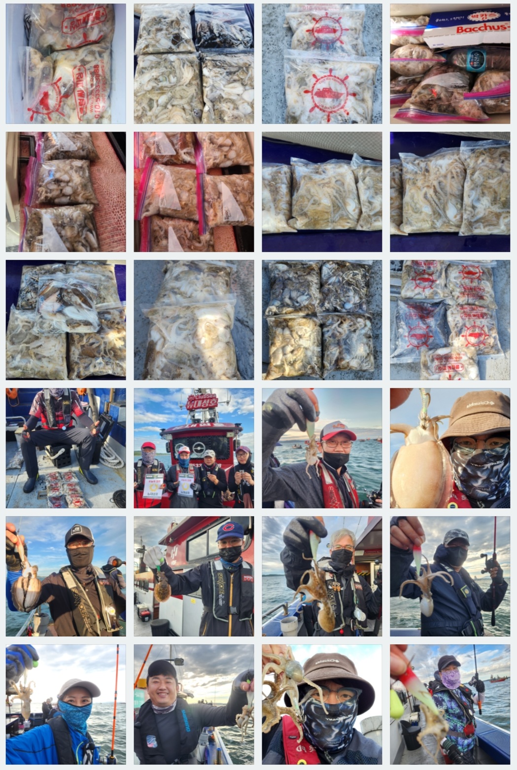 9월3일 뉴대성호 주꾸미조황