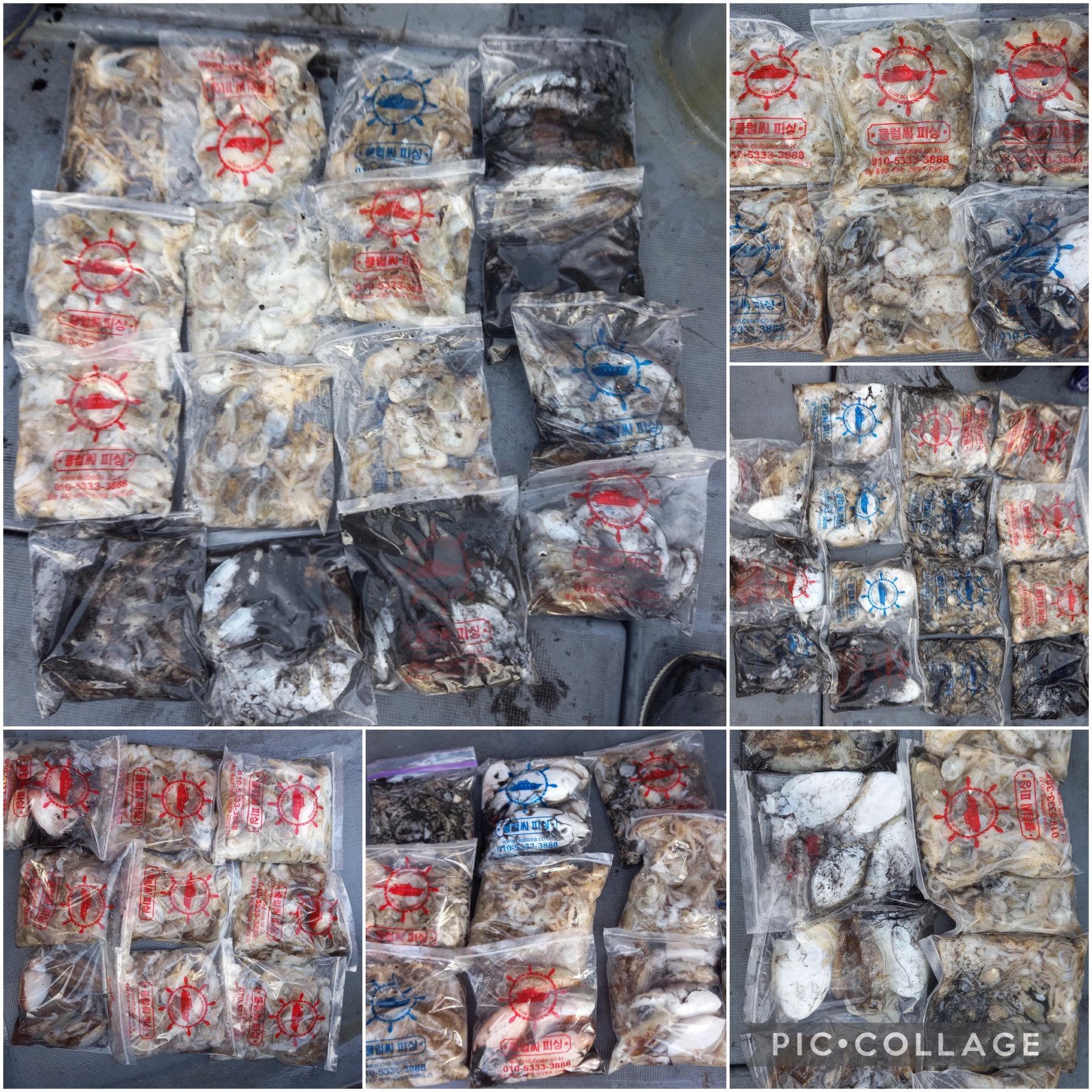 09월 24일 레드원호 주꾸미 조황