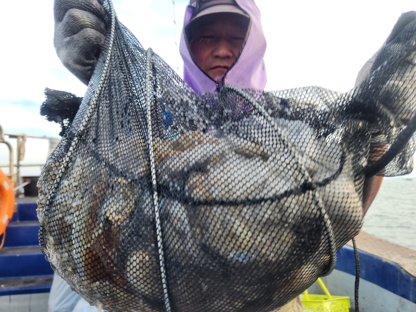 9월26일 뉴대성호 주꾸미조황