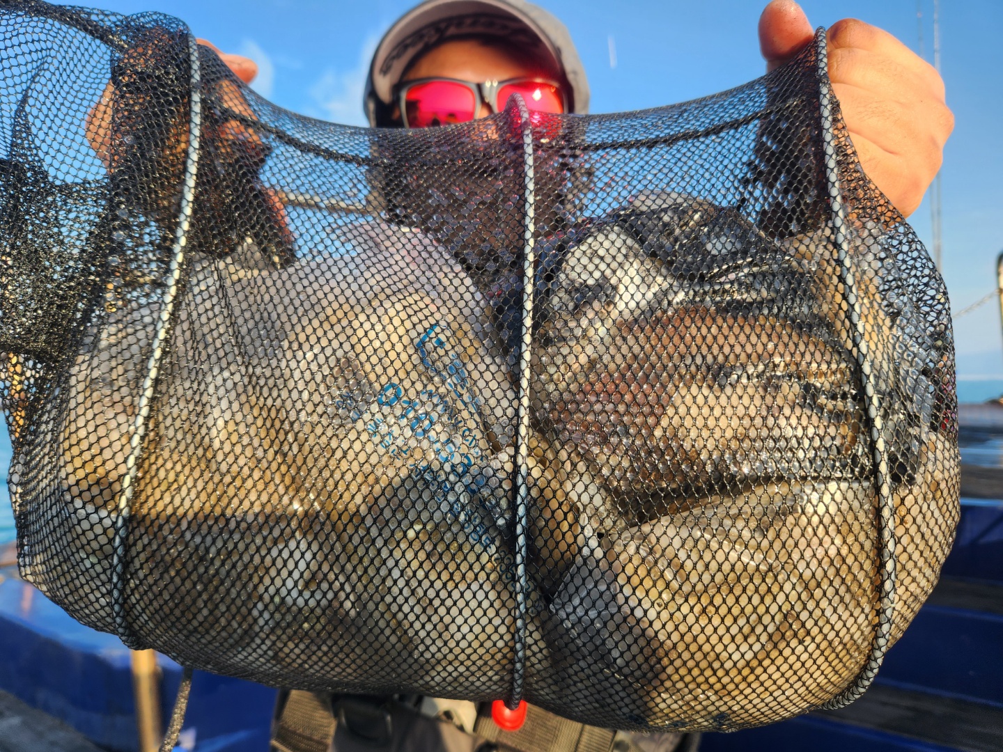 9월28일 뉴대성호 주꾸미조황