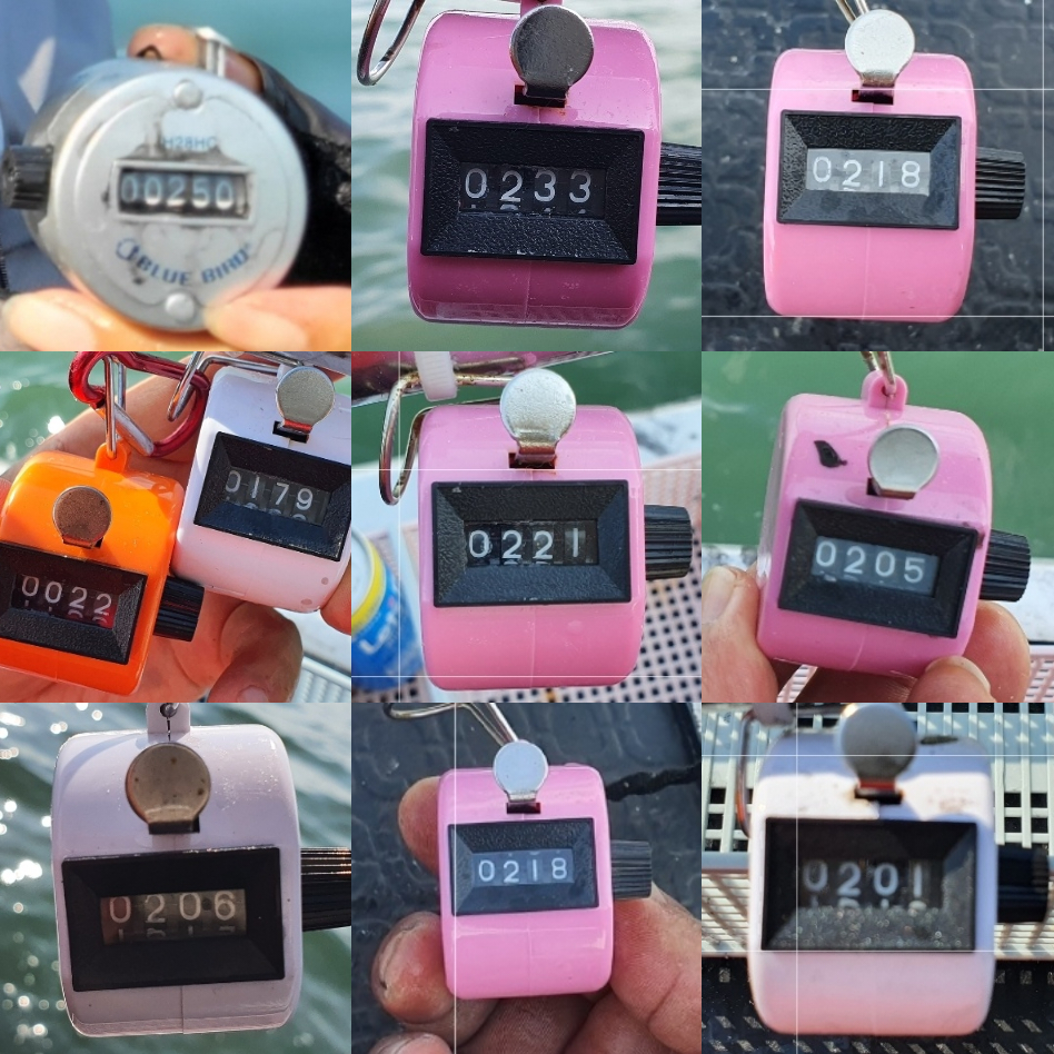 9월 1일 대성호 주꾸미 조황입니다