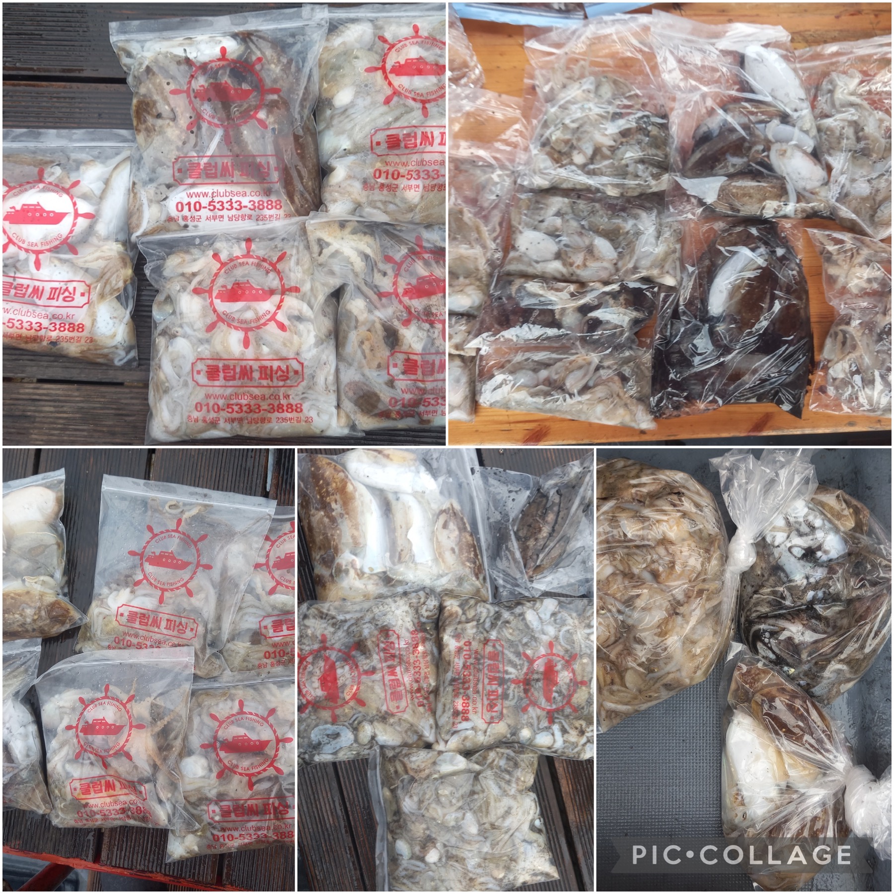 09월 25일 레드원호 주꾸미 조황