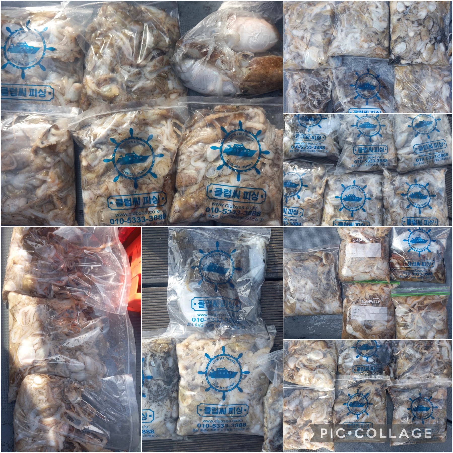 09월 22일 레드원호 주꾸미 조황