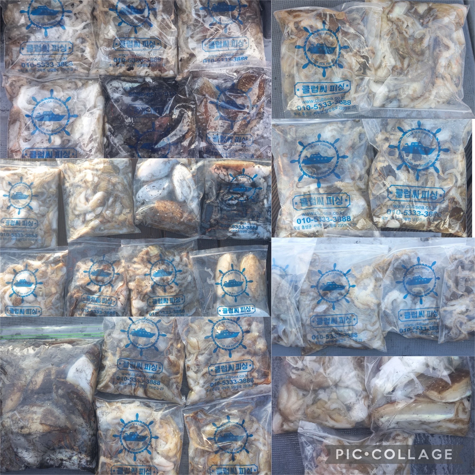 09월 30일 레드원호 주꾸미 조황