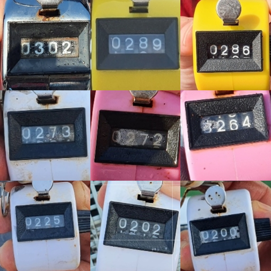 9월 7일 대성호 주꾸미 조황입니다