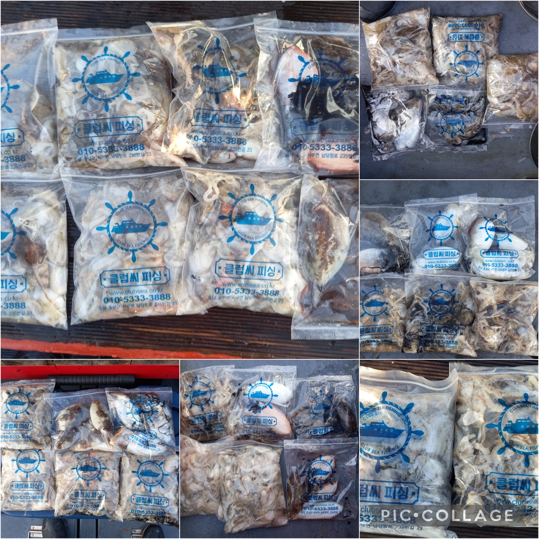 09월 29일 레드원호 주꾸미 조황