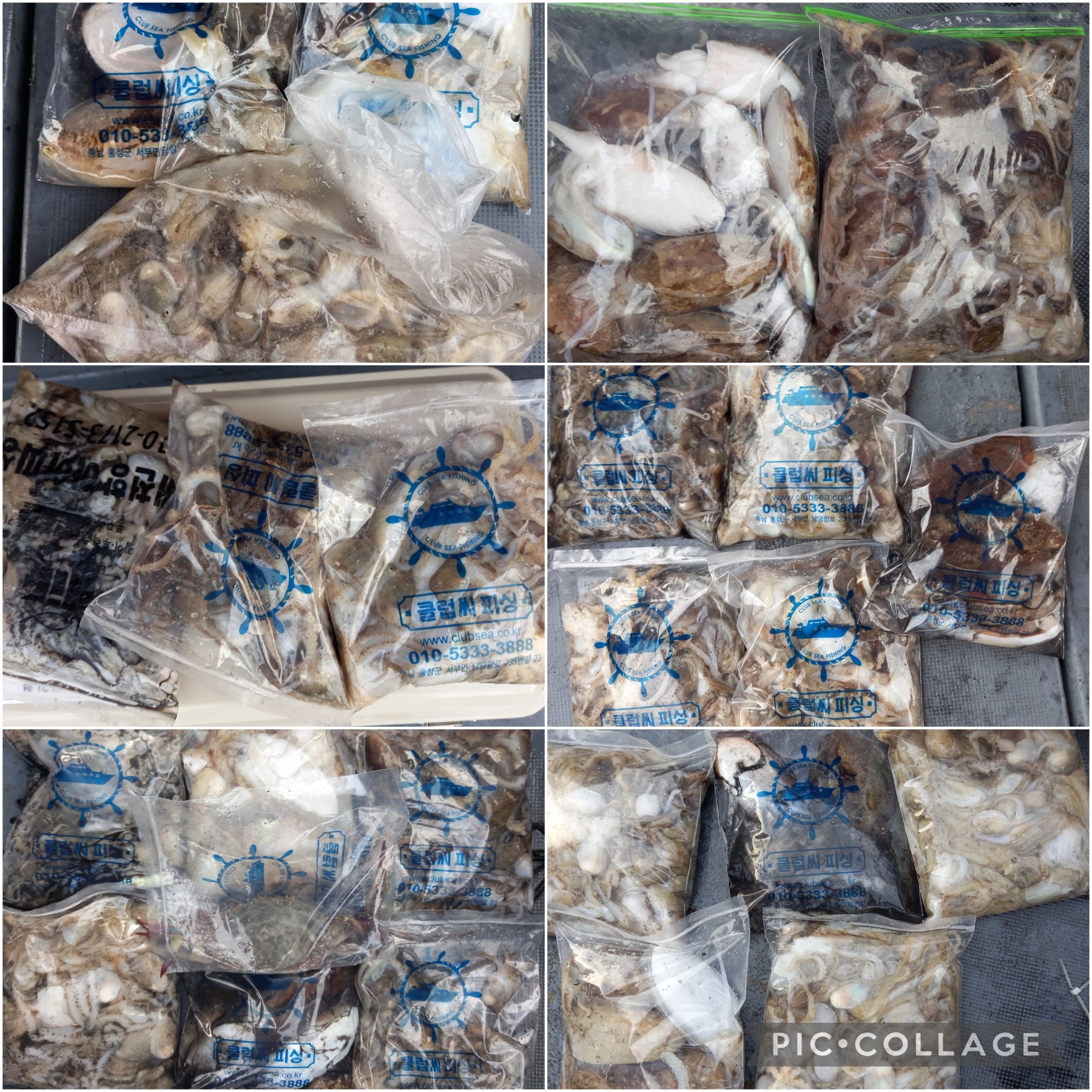 09월 26일 레드원호 주꾸미 조황