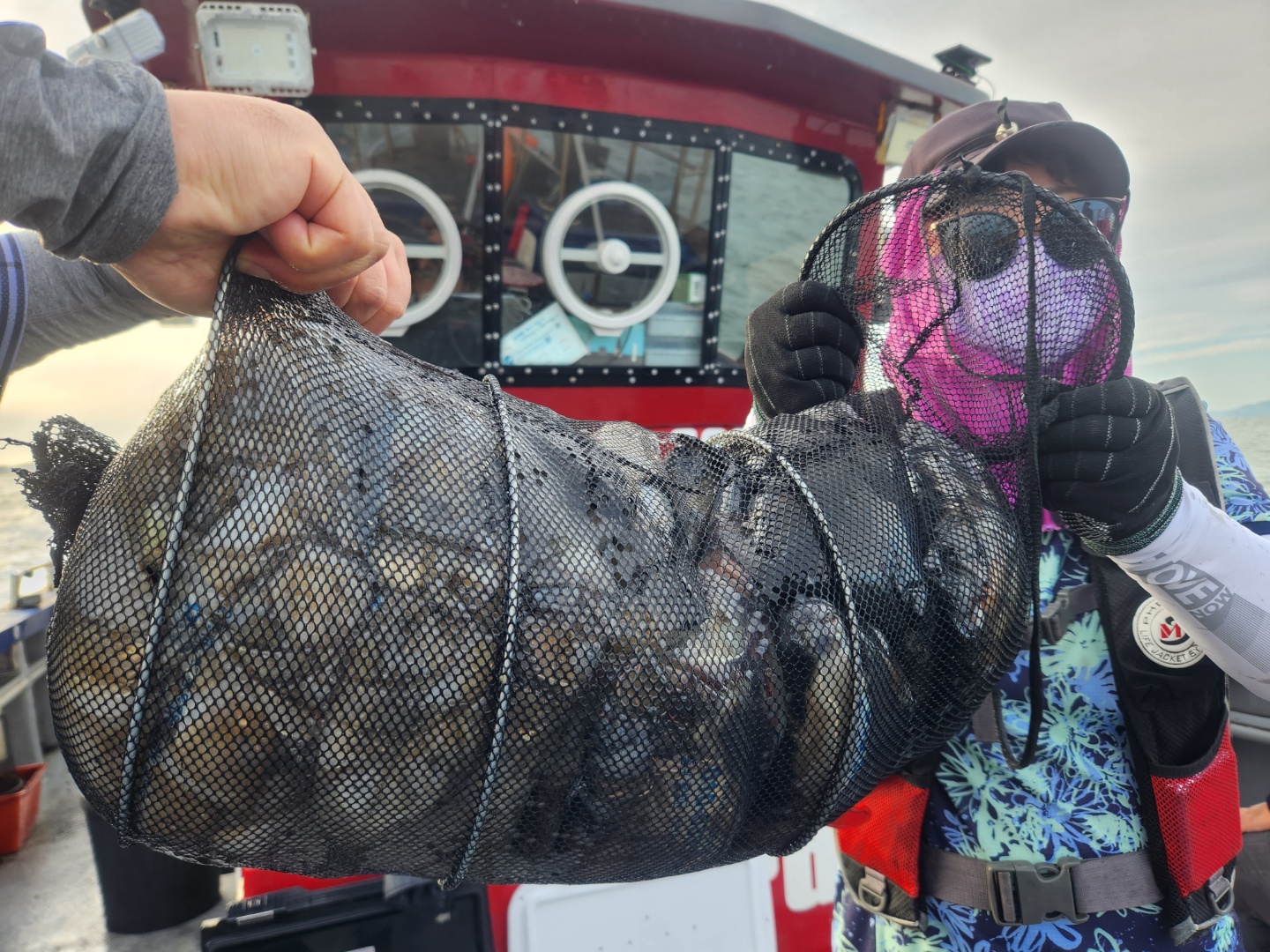 9월24일 뉴대성호 주꾸미조황