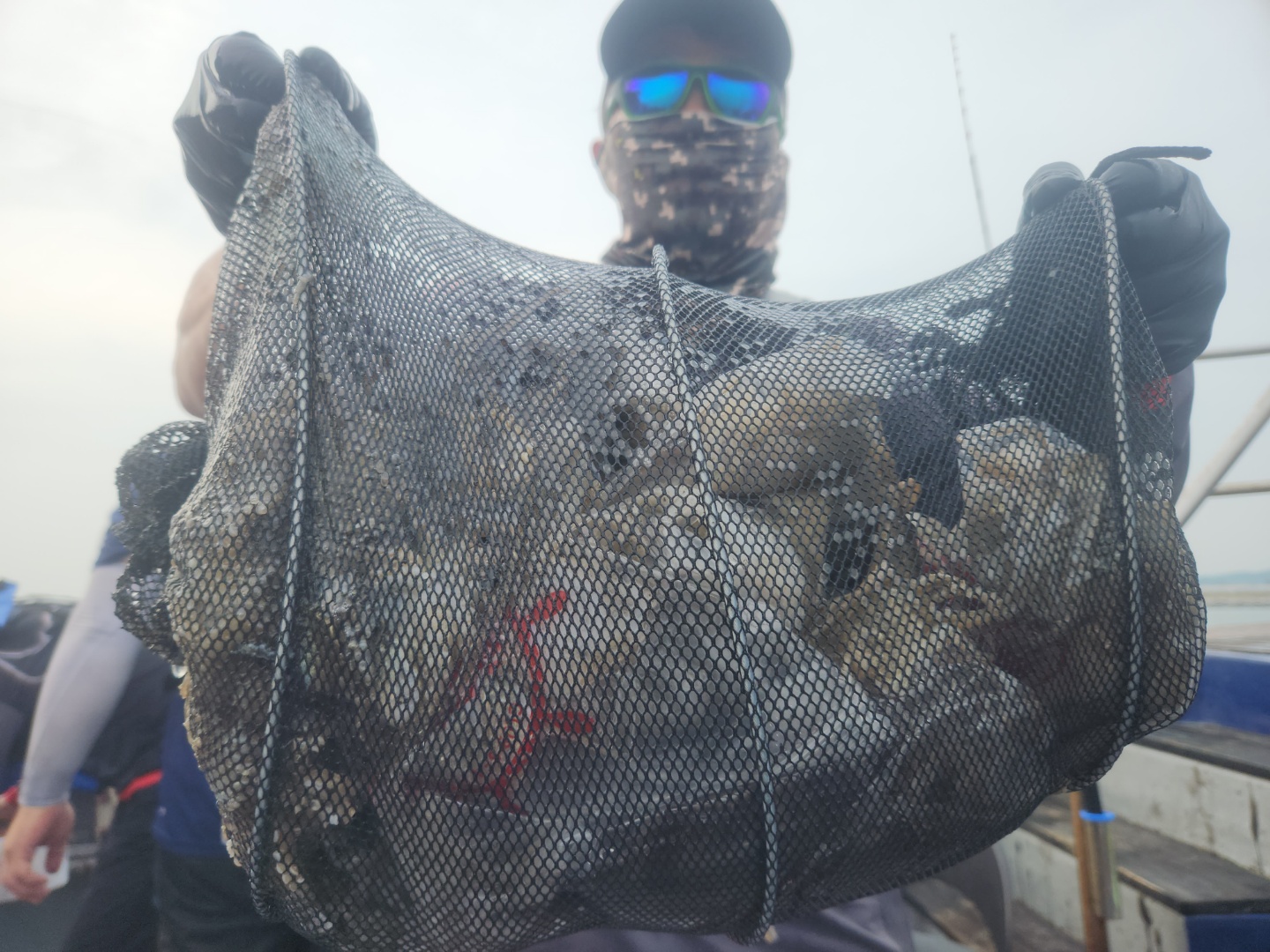 9월12일 뉴대성호 주꾸미조황