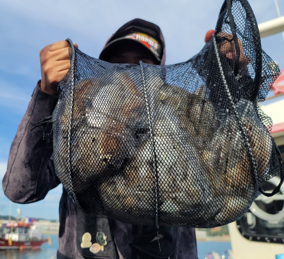 9월 24일 대성2호 쭈꾸미 조황