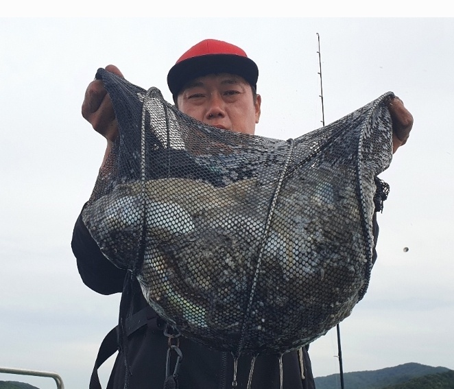 9월25일 대성호 주꾸미 조황입니다