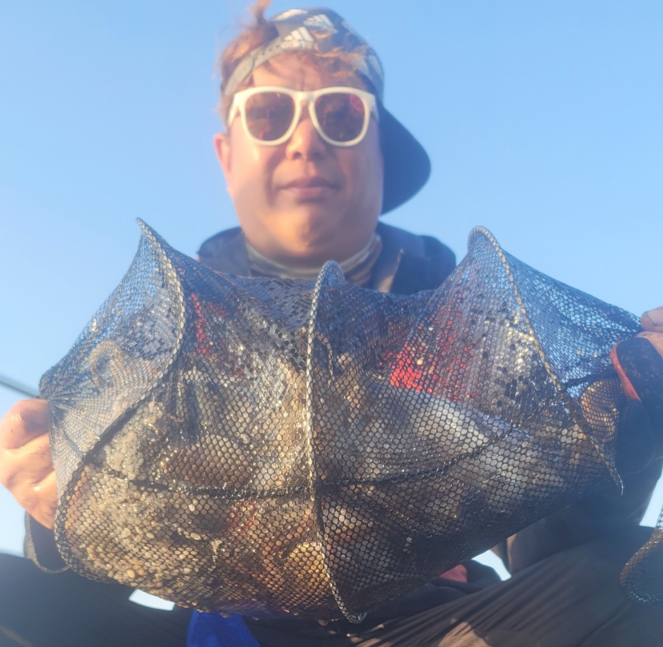 9월 29일 대성2호 쭈꾸미 조황