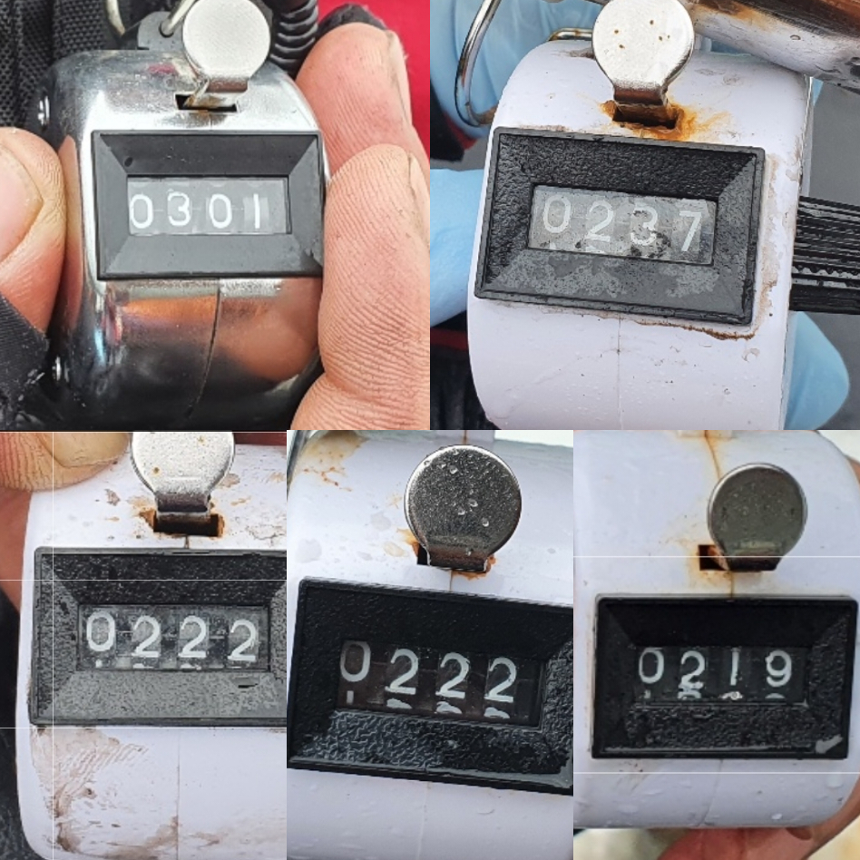 9월 4일 대성호 주꾸미 조황입니다