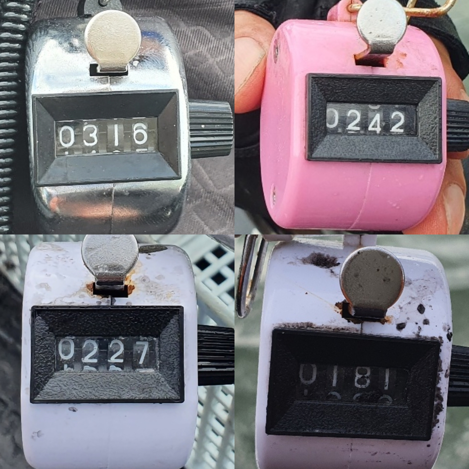 9월 3일 대성호 주꾸미 조황입니다