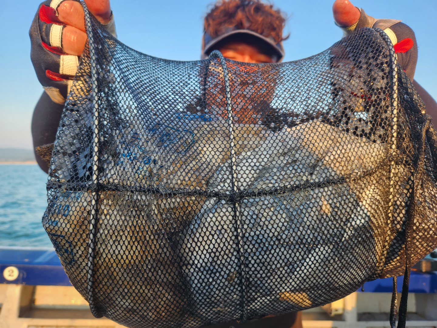 9월29일 뉴대성호 주꾸미조황