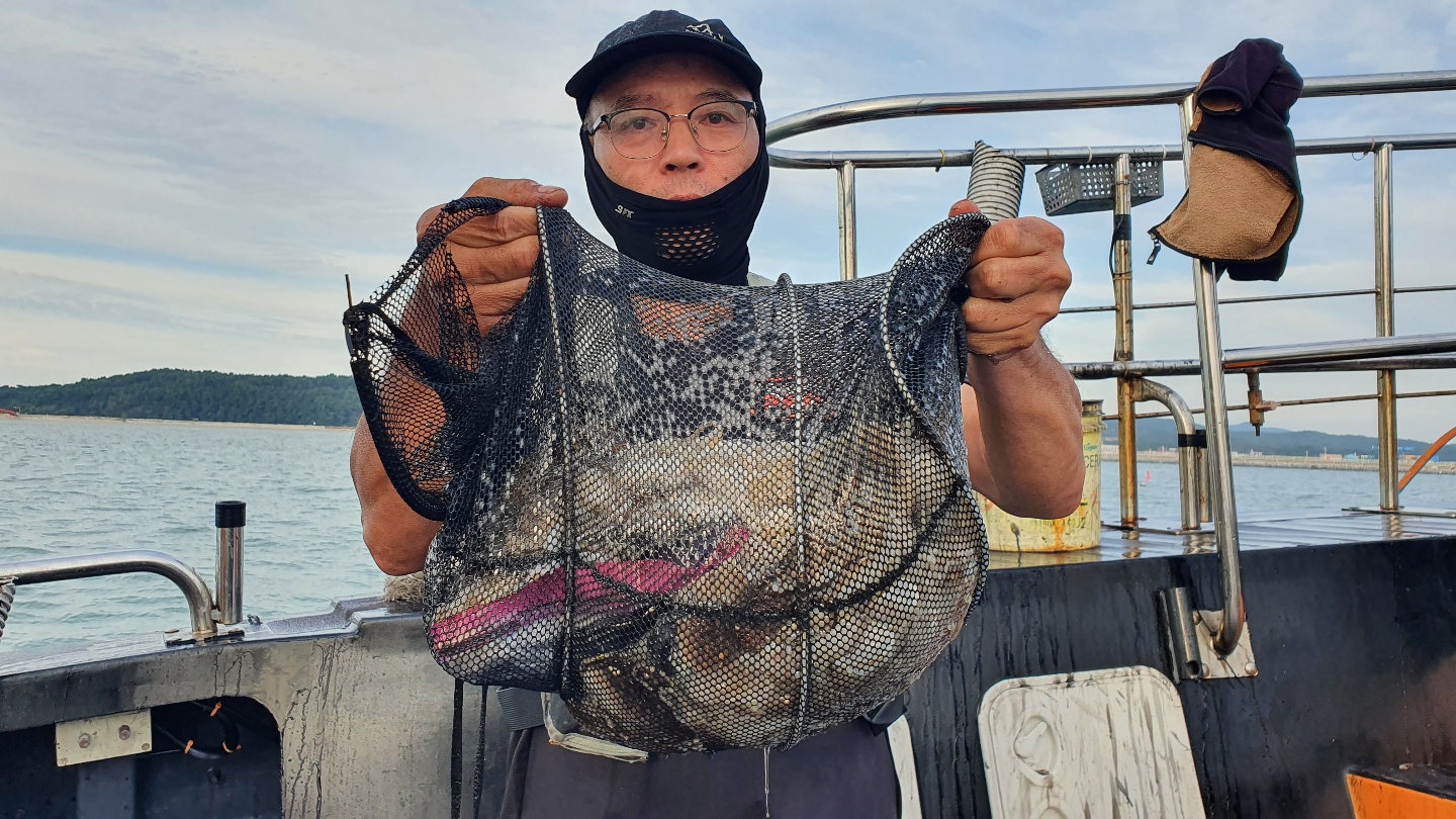 9월 26일 대성호 주꾸미 조황입니다