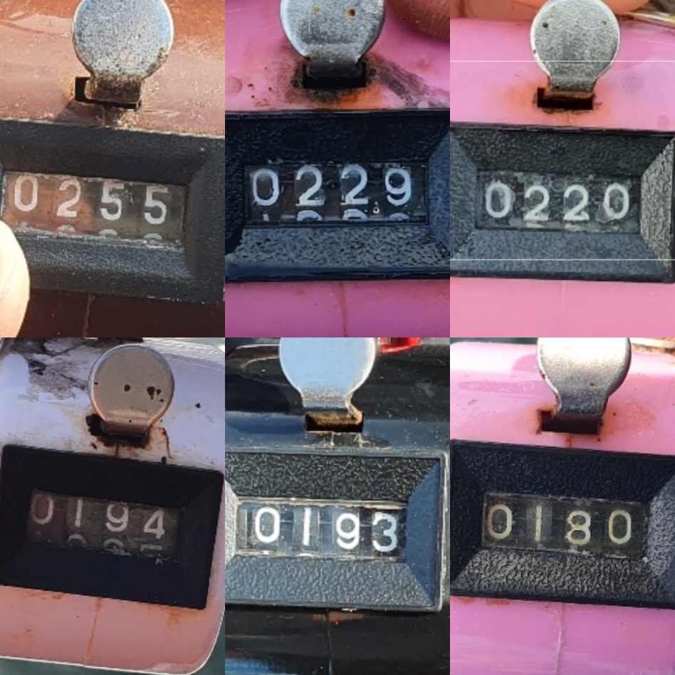 9월 8일 대성호 주꾸미 조황입니다