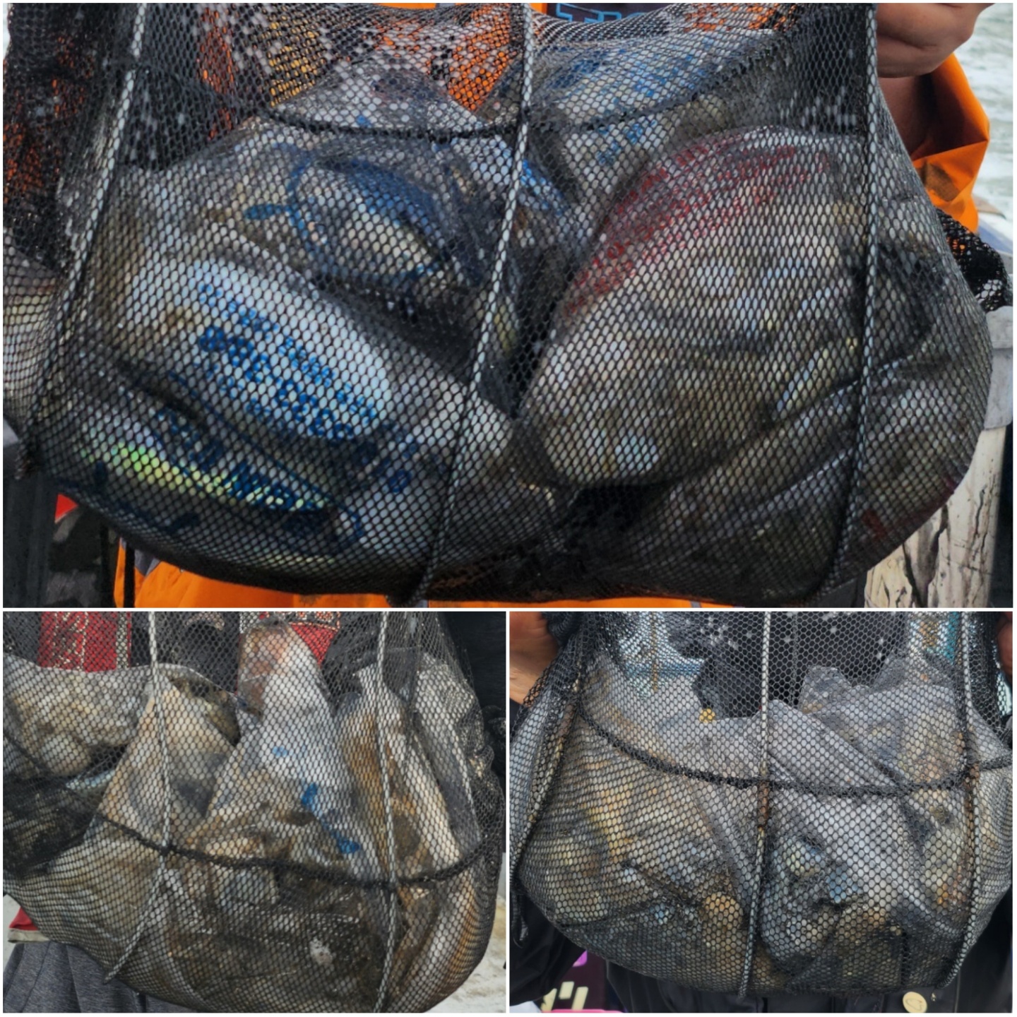 9월25일 뉴대성호 주꾸미조황