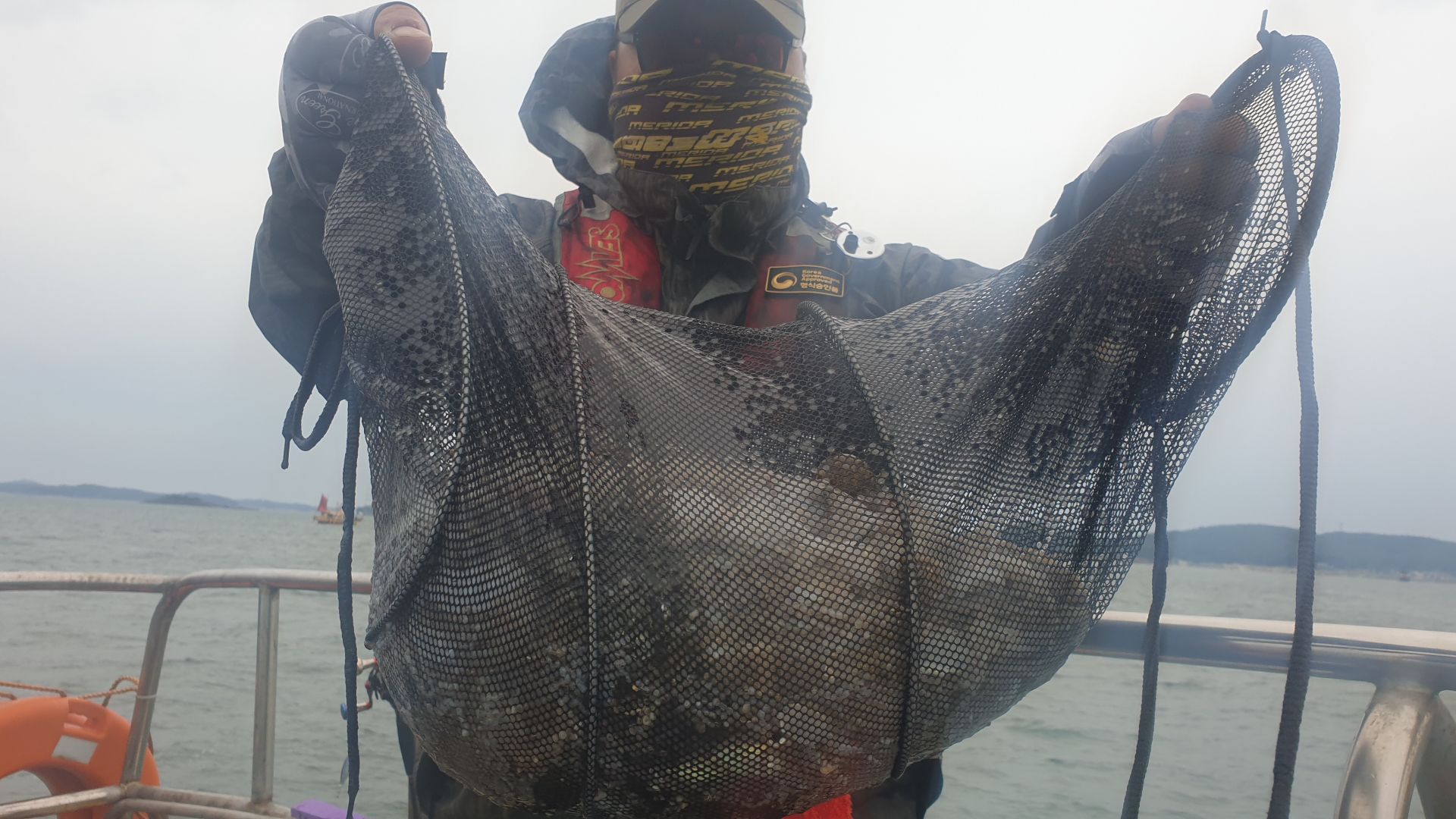 9월4일 대양호 주꾸미조황