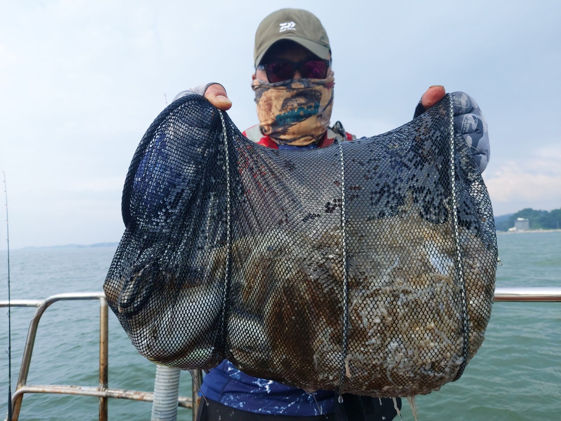 9월 12일  화성호 주꾸미 조황~