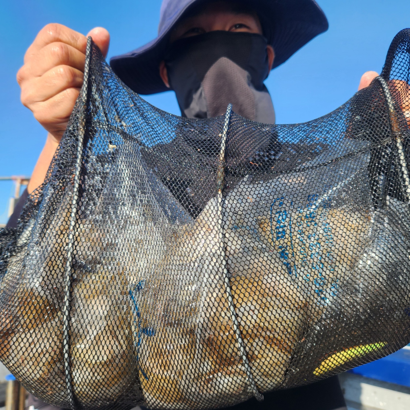 9월21일 뉴대성호 주꾸미조황