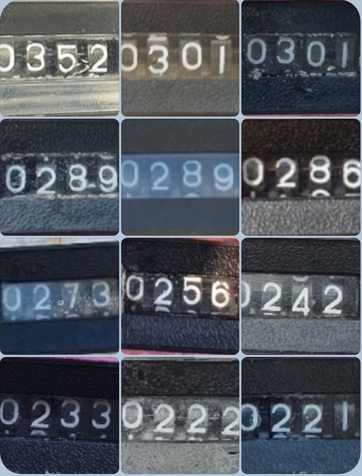 9월 9일 대성호 주꾸미 조황입니다