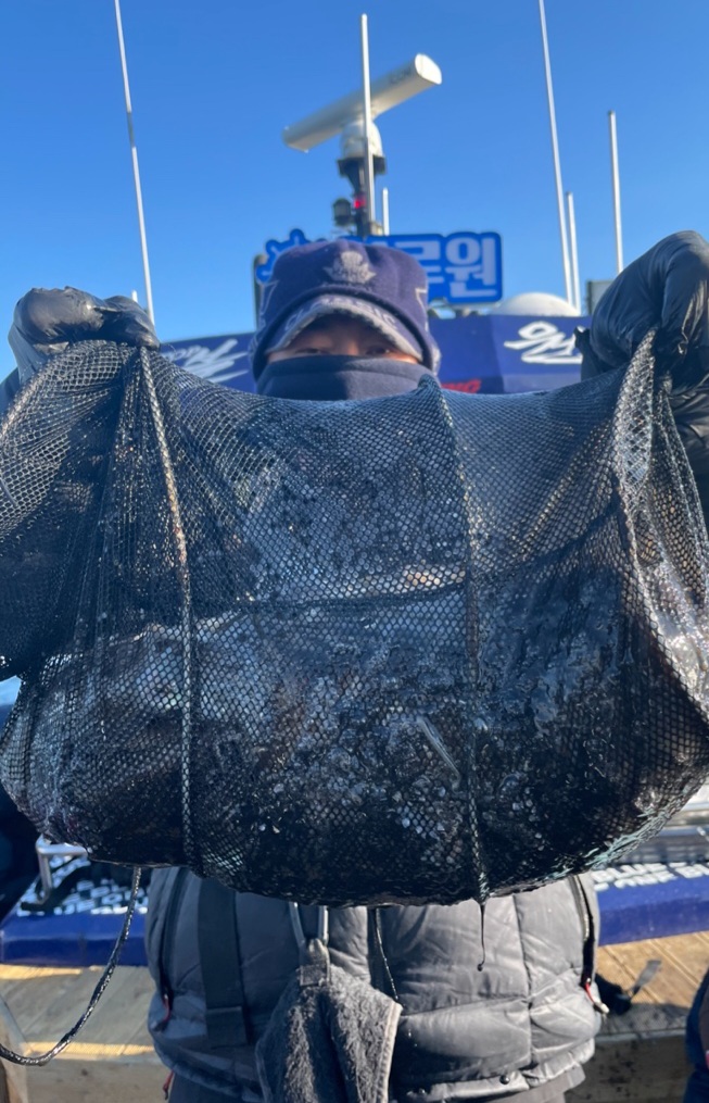 10월18일 블루원호 주꾸미조황