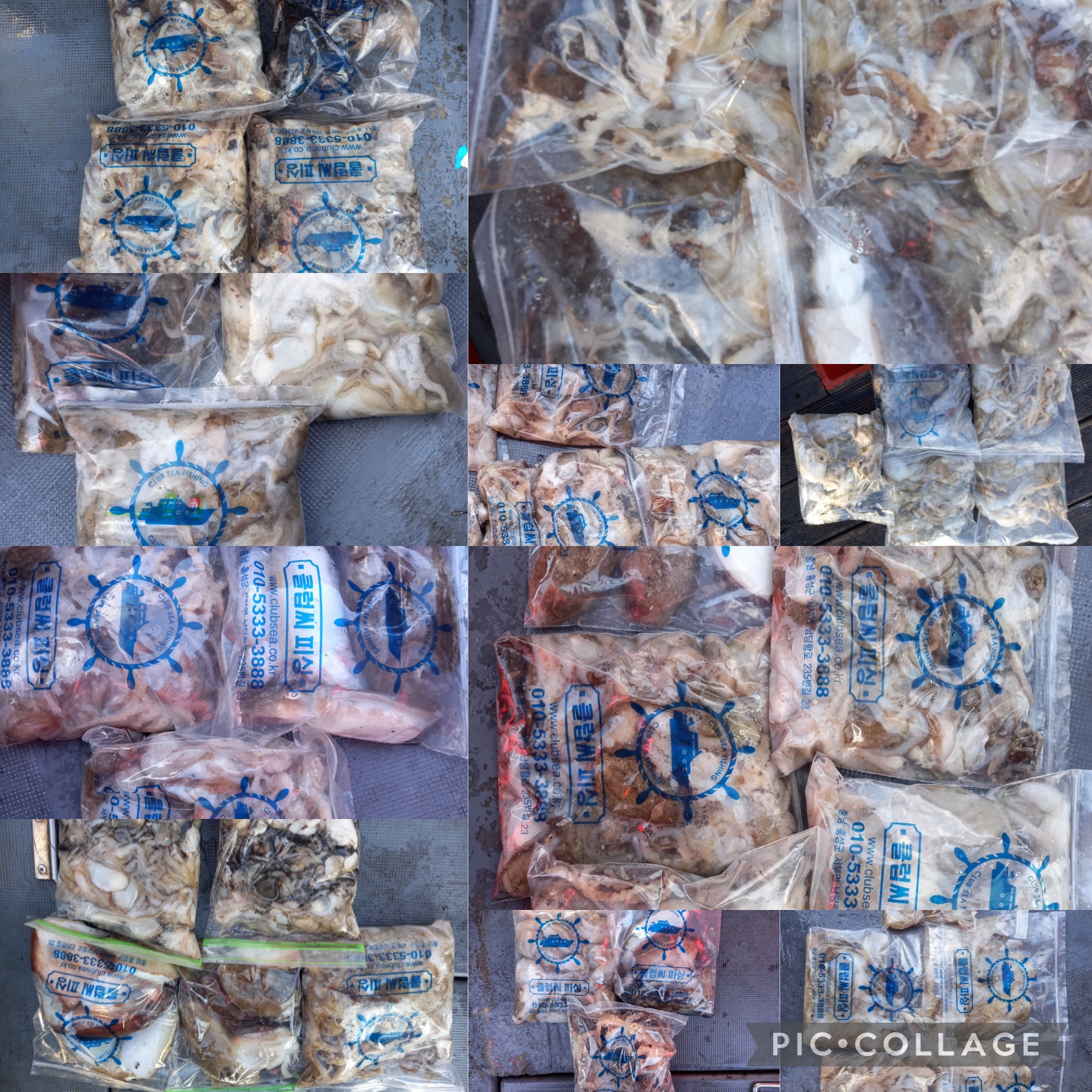 10월 05일 레드원호 주꾸미 조황