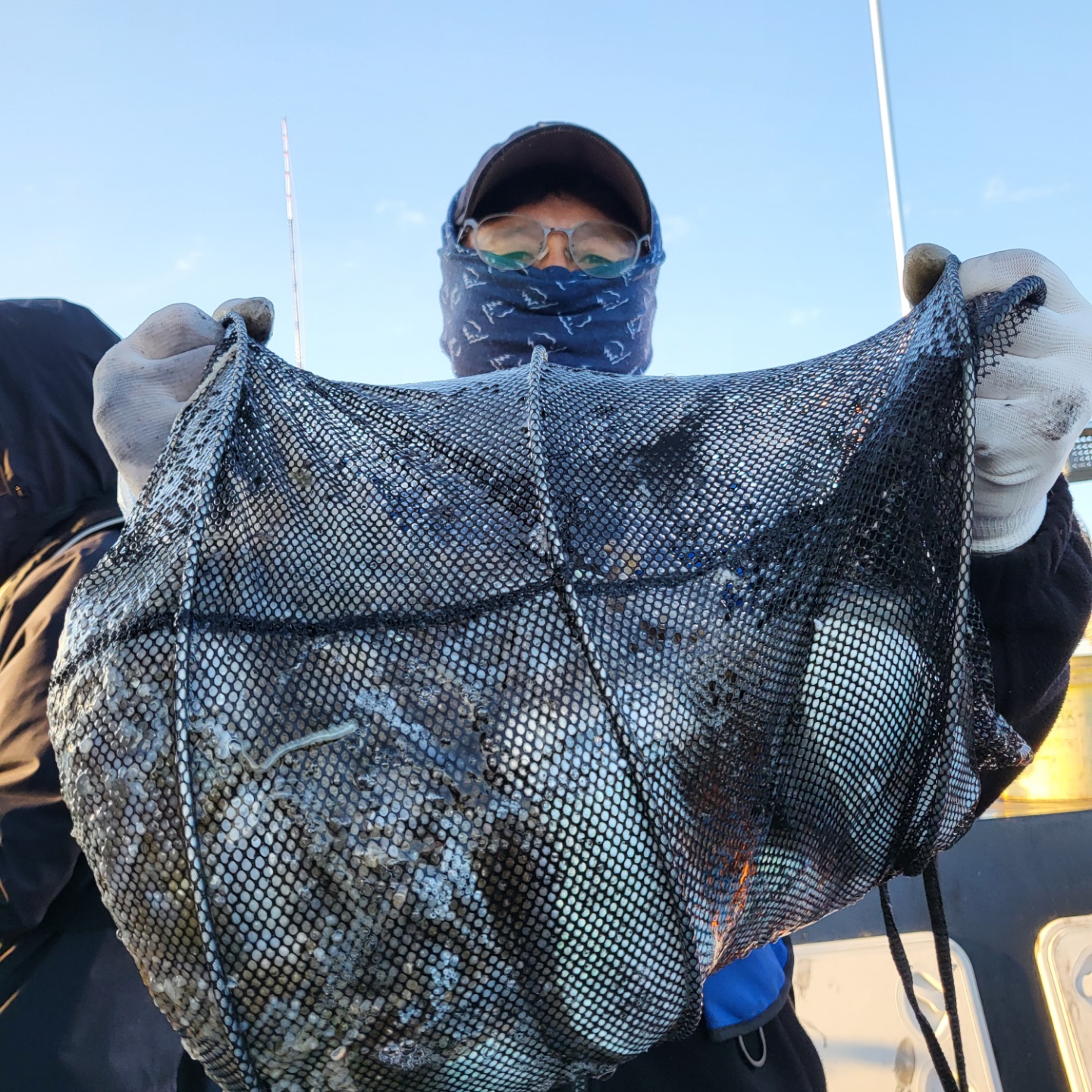 10월 13일 대성호 주꾸미조황입니다