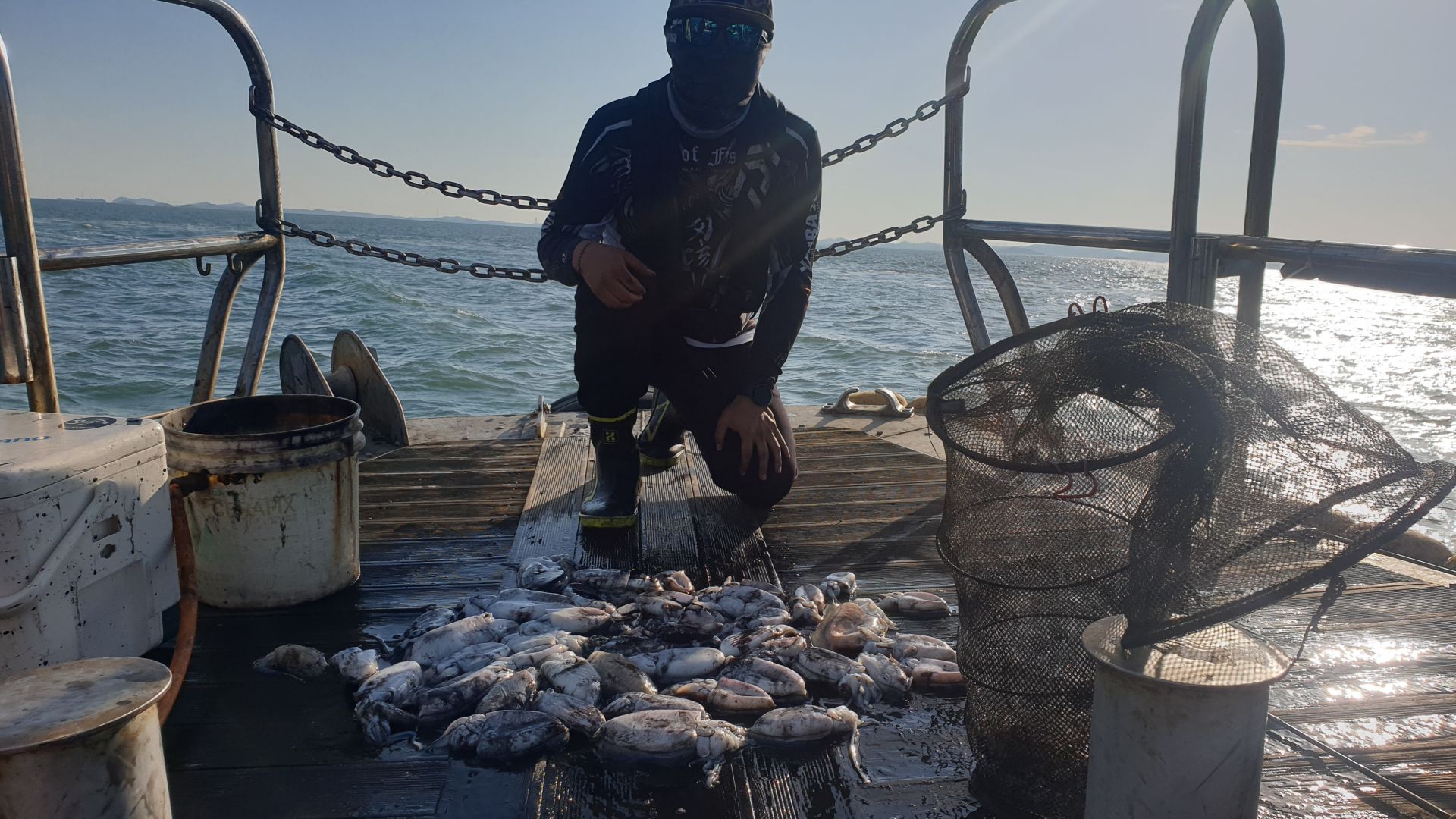 10월13일 대양호 갑오징어 조황