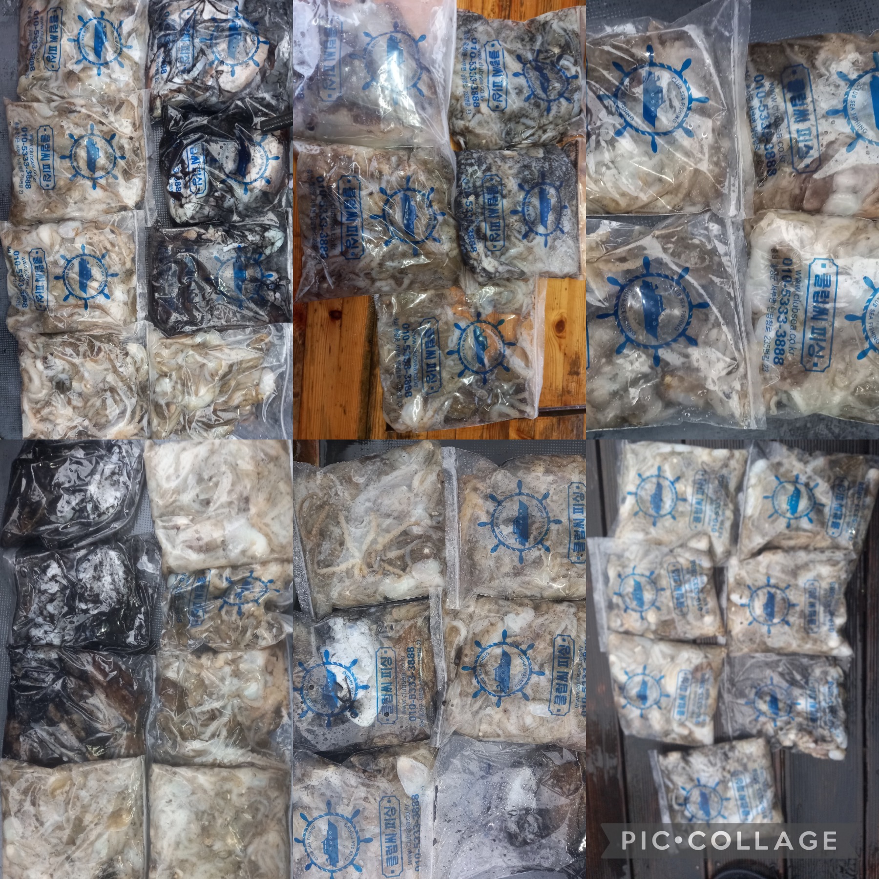 10월 09일 레드원호 주꾸미 조황