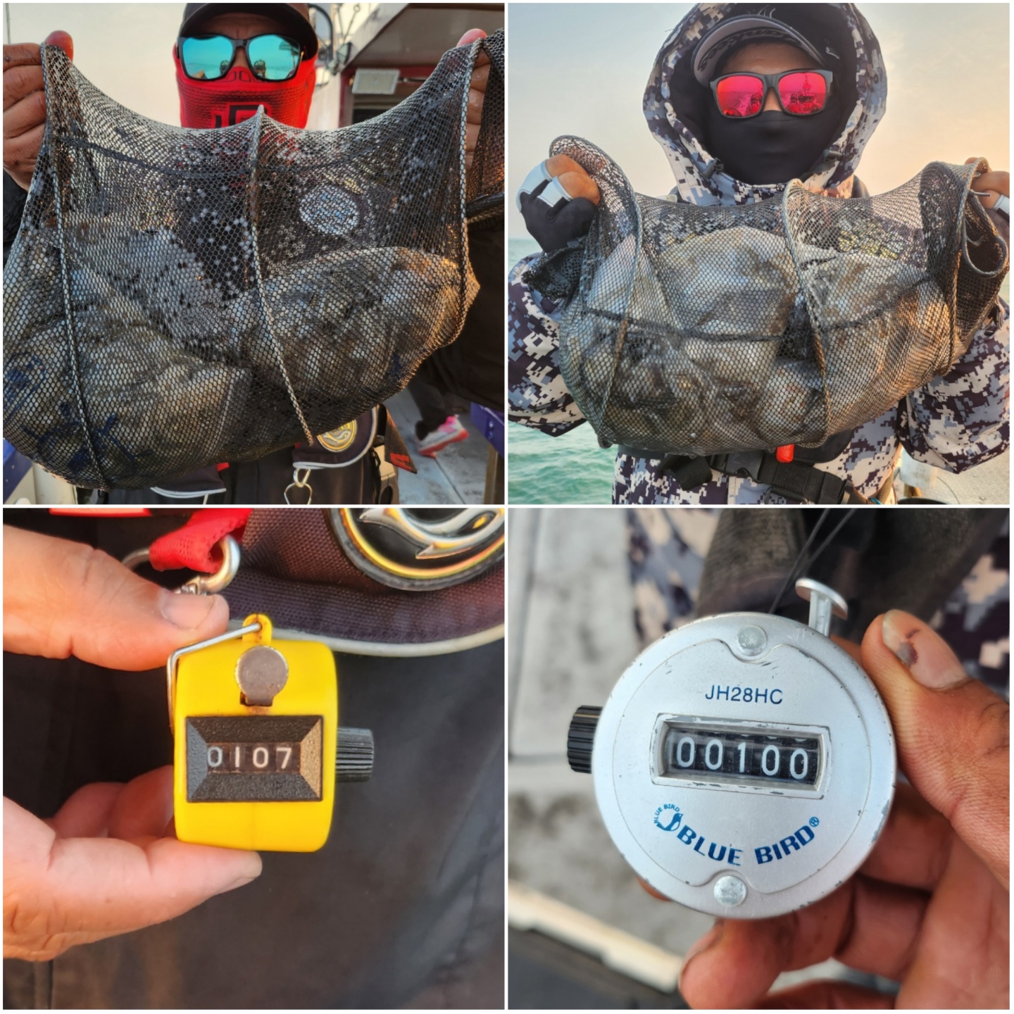 10월30일 뉴대성호 주꾸미조황