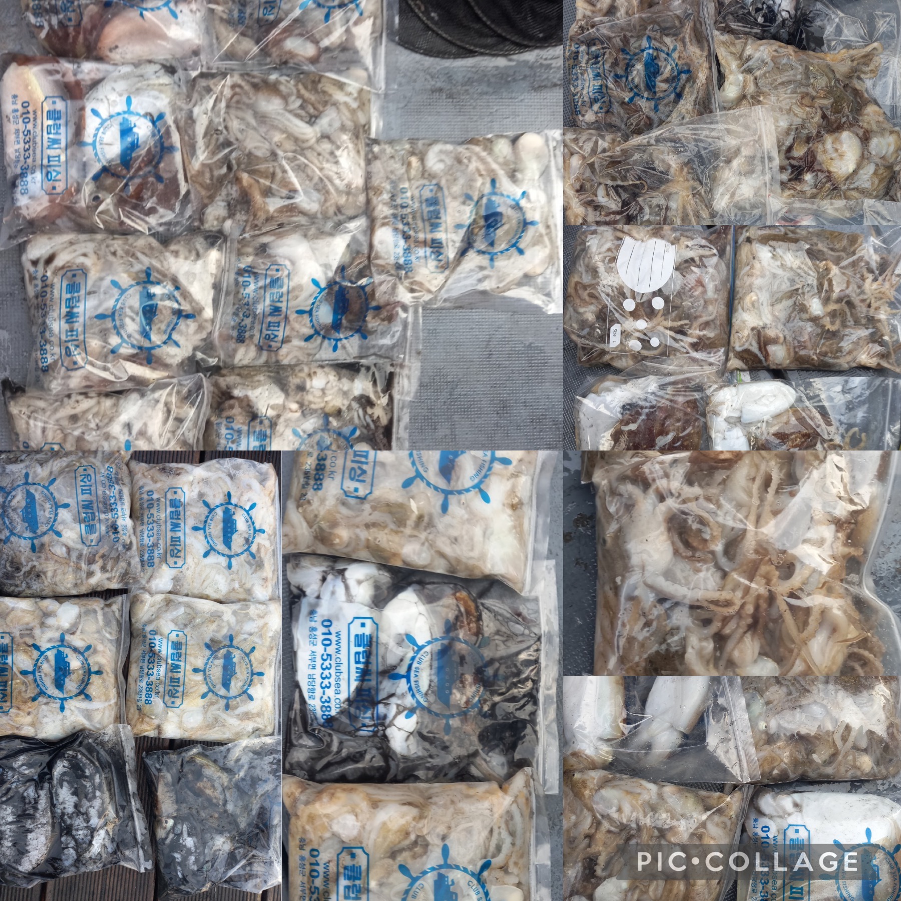 10월 14일 레드원호 주꾸미 조황