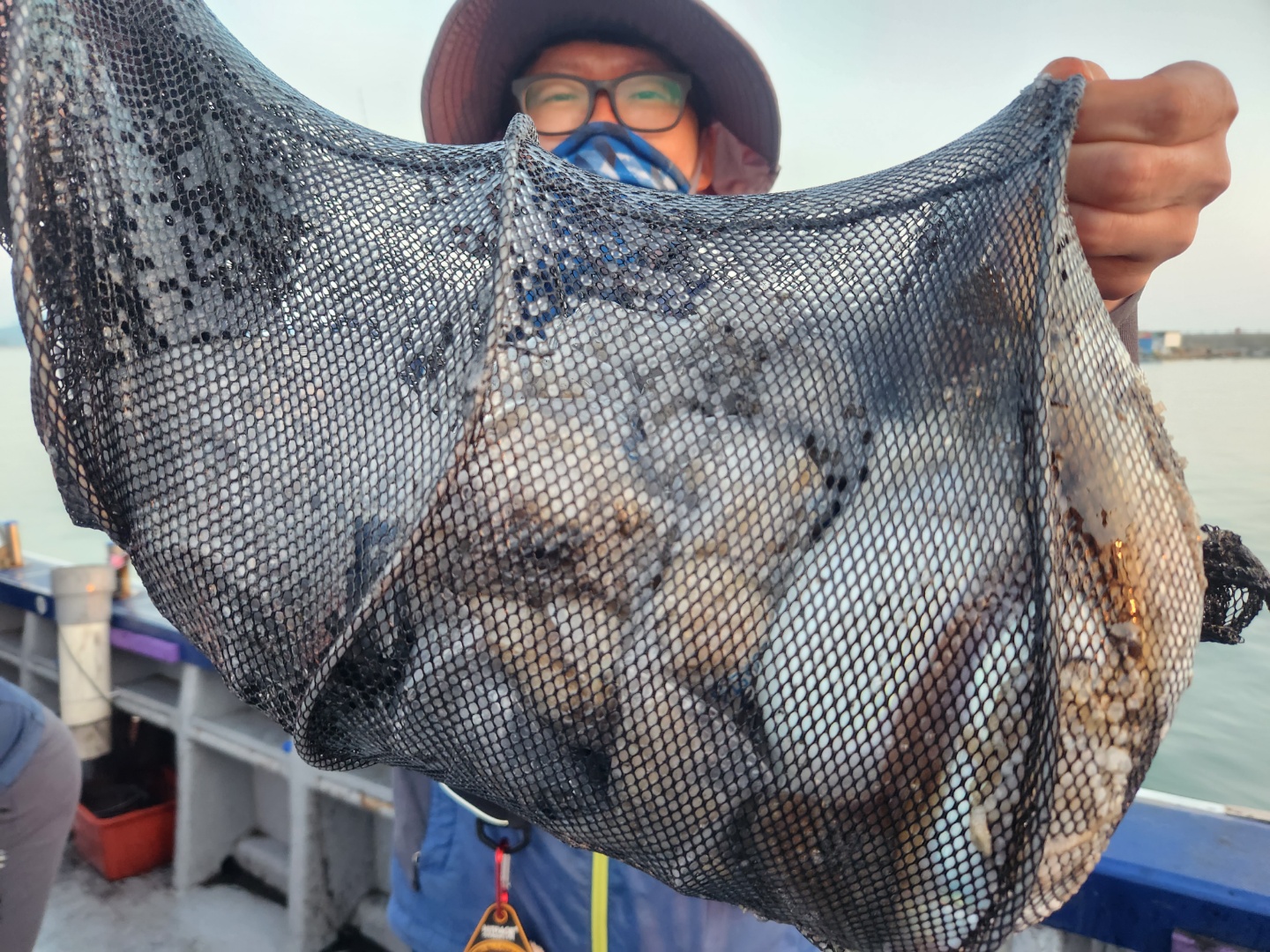 9월30일 뉴대성호 주꾸미조황