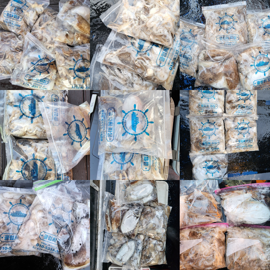 10월 5일 대성호 주꾸미조황입니다