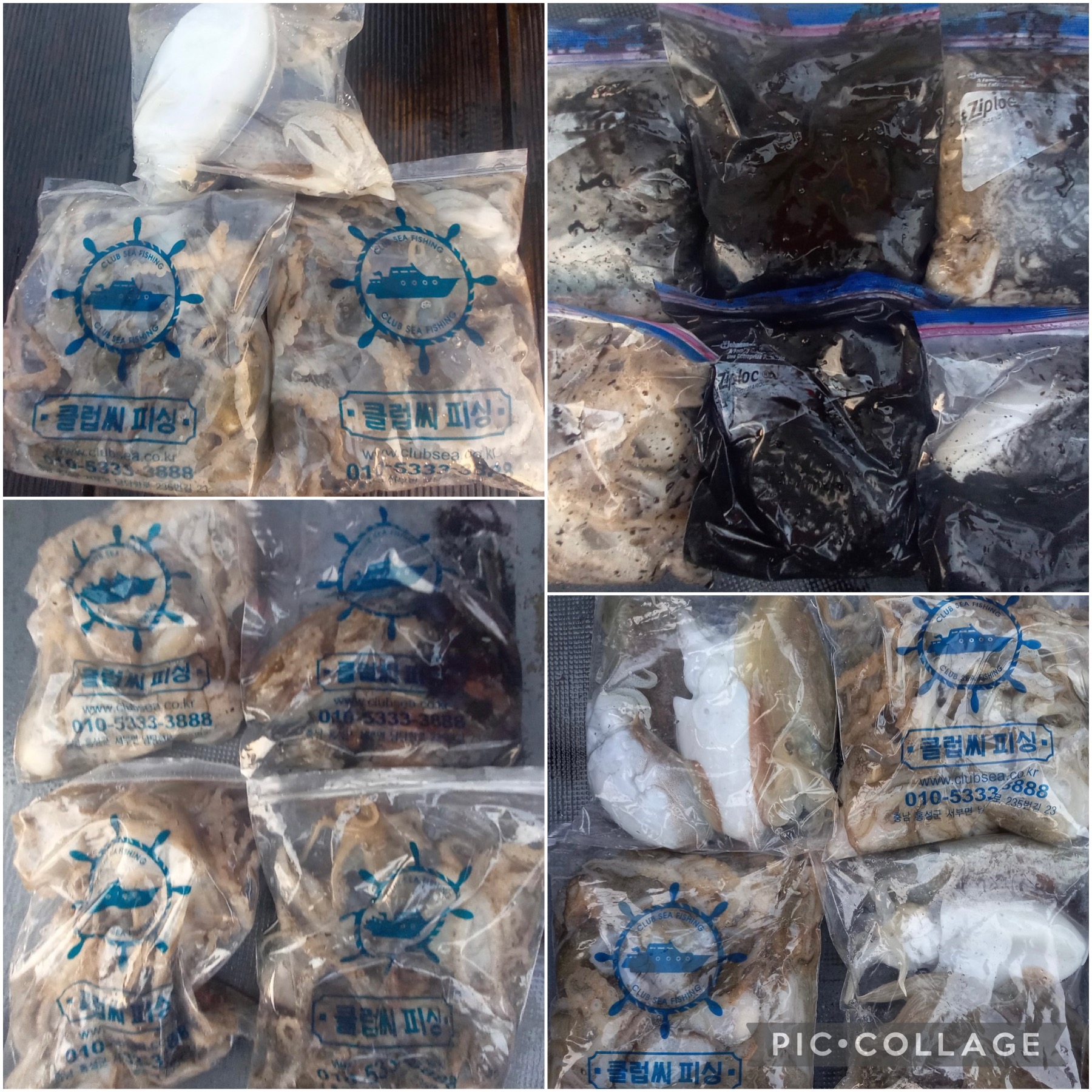 10월 30일 레드원호 주꾸미 조황