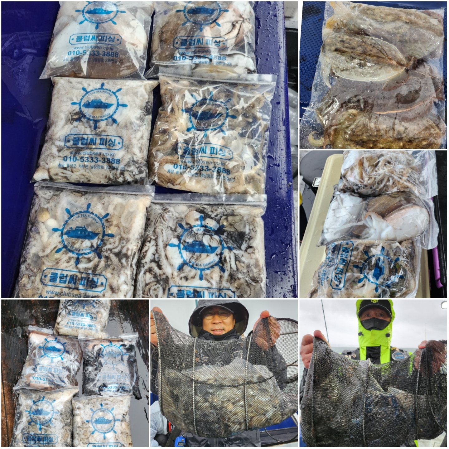 10월 9일 뉴대성호 주꾸미조황