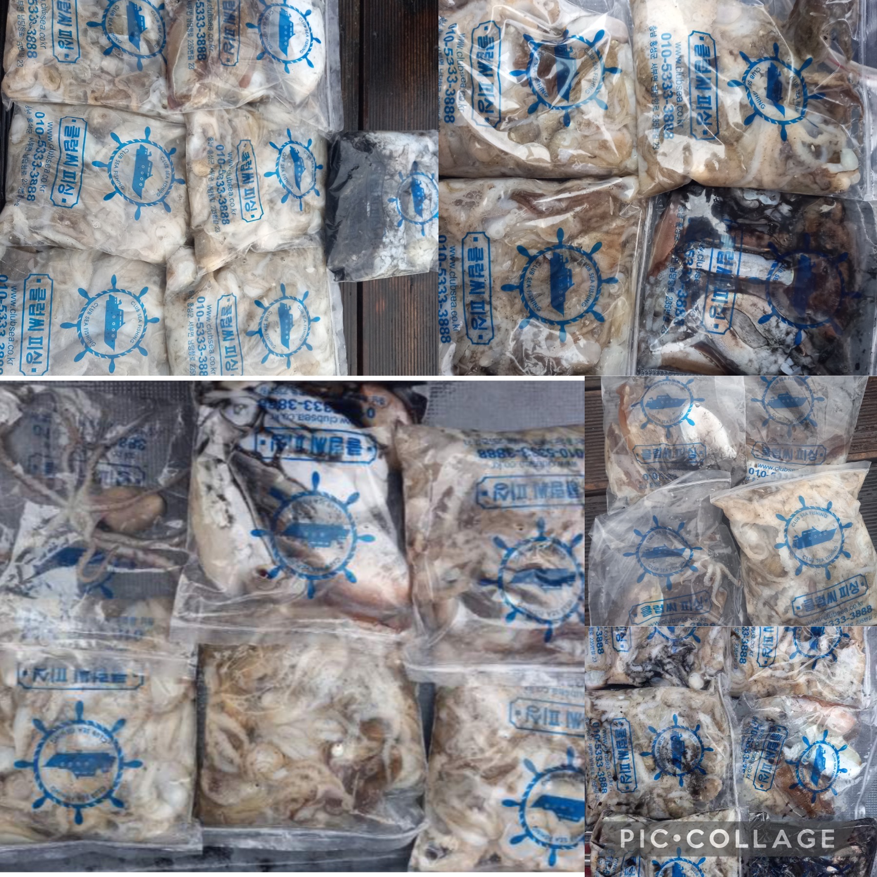 10월 15일 레드원호 주꾸미 조황